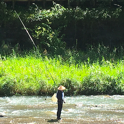 思川で鮎釣り