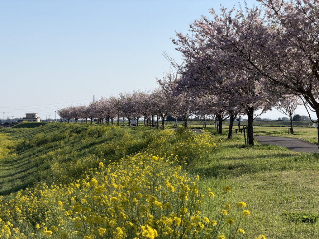巴波川決壊口祈念公園