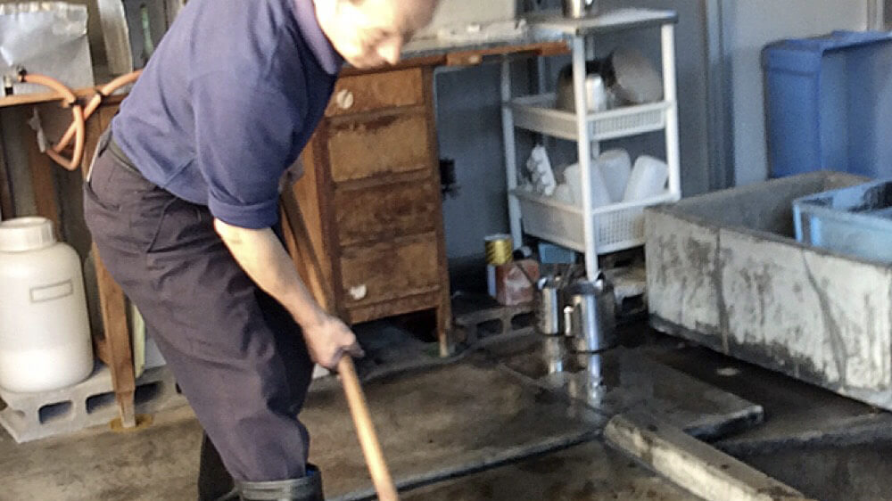 本場結城紬坂入染織店　糸を染色している様子